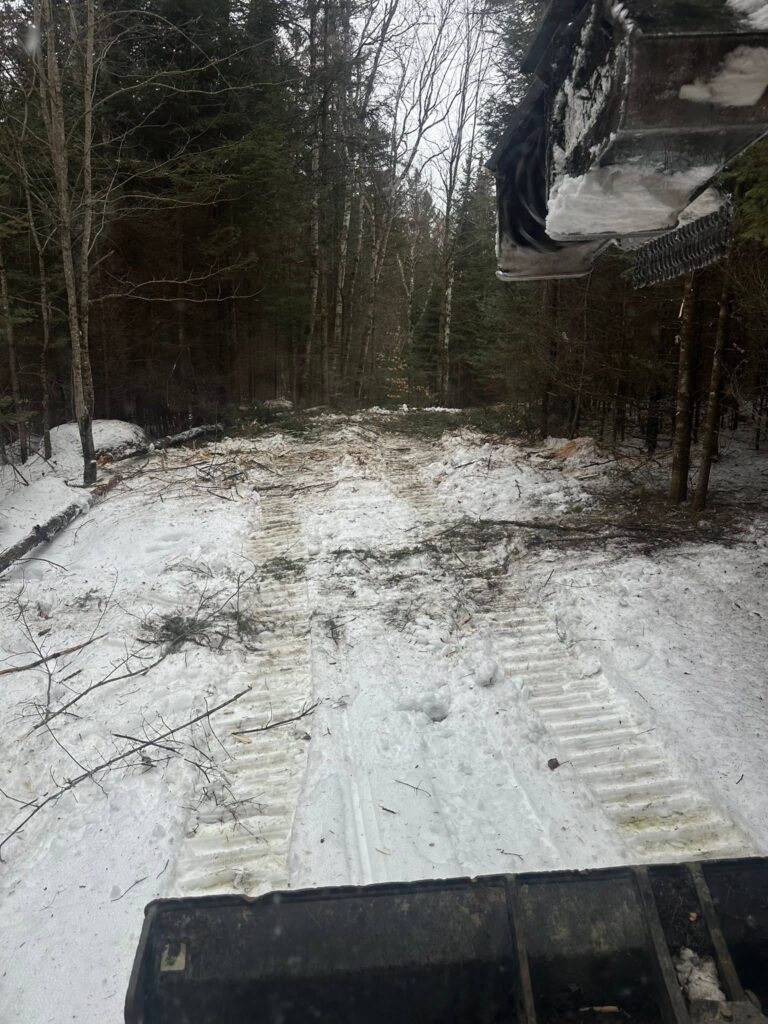 Waterford Ridge Runners trail brushing and maintenance work in winter woods